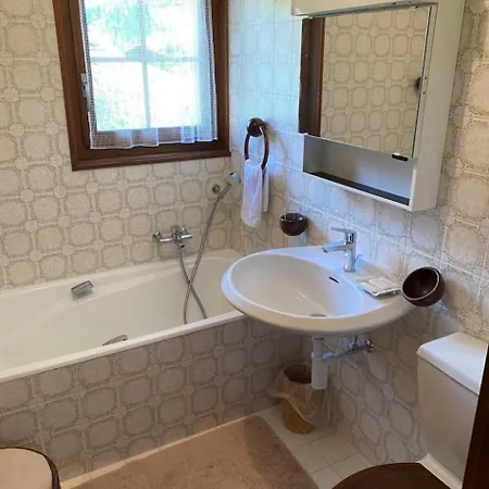 Charming With Great View Apartment Chateau-d'Oex